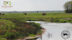 Natuurbegrazing